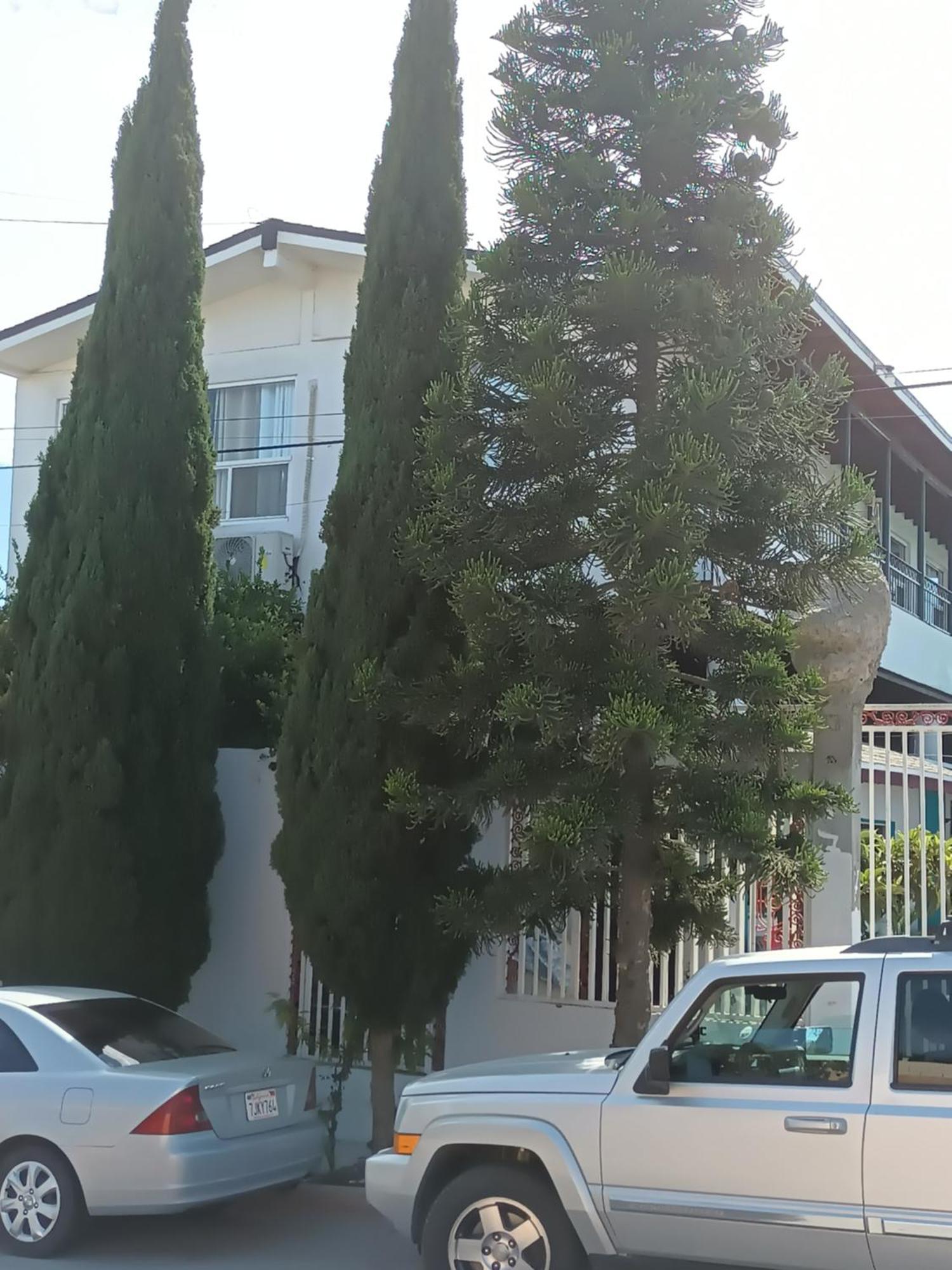Apartamentos Rosarito.!! Con Vista Al Mar ! Esterno foto