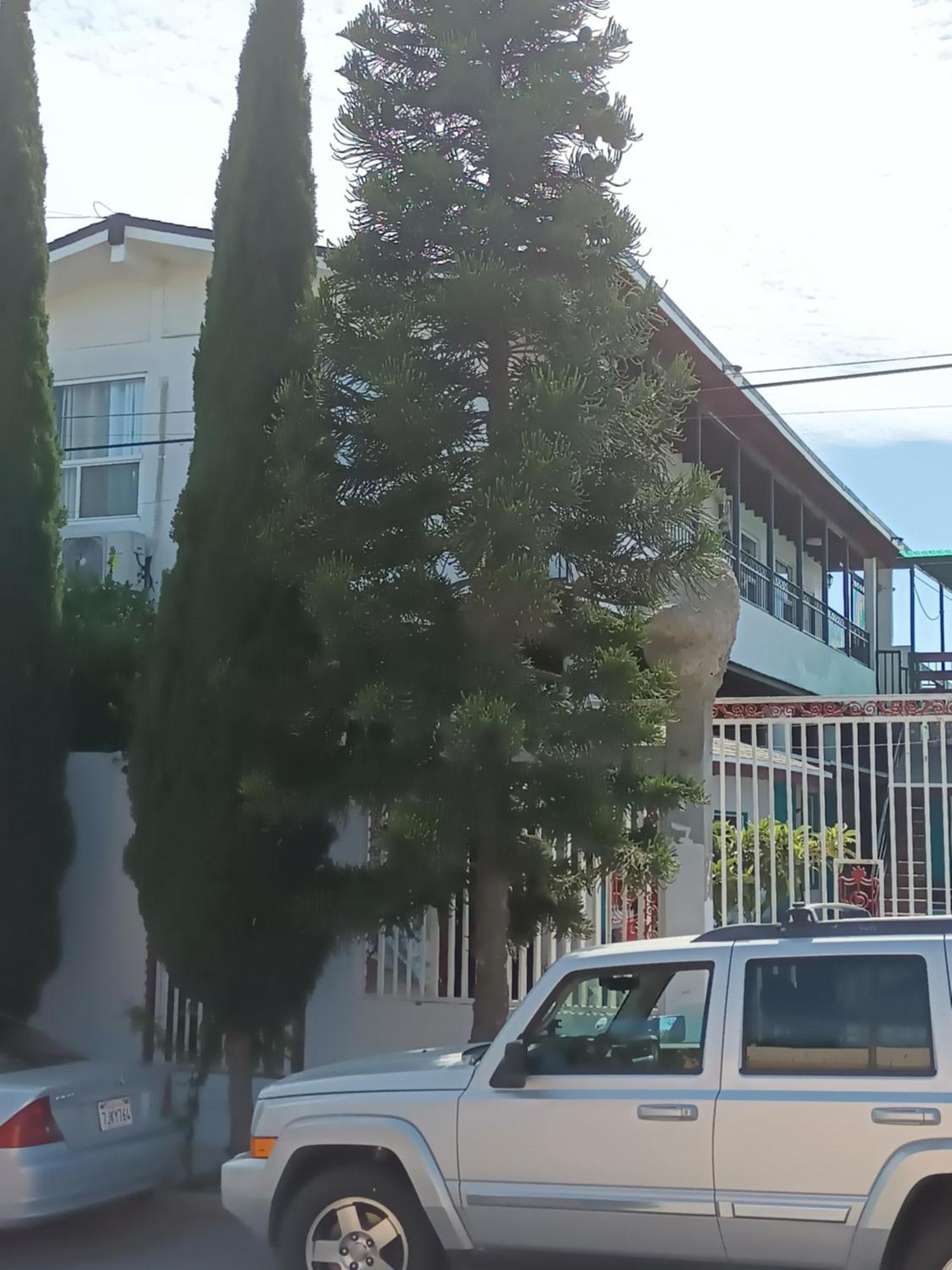 Apartamentos Rosarito.!! Con Vista Al Mar ! Esterno foto